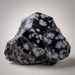 Raw Snowflake Obsidian crystal specimen showing natural mineral texture and coloring